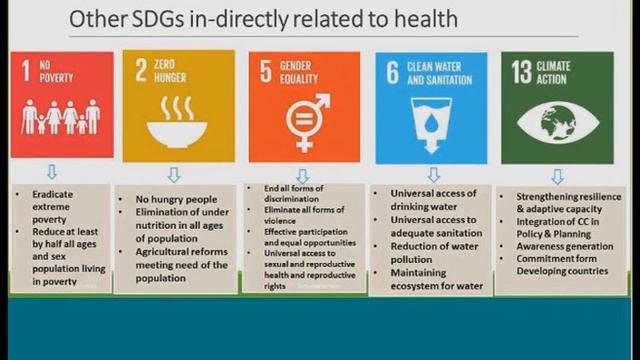 Webinar on Sustainable Development Goals: Hopes and Challenges смотреть онлайн