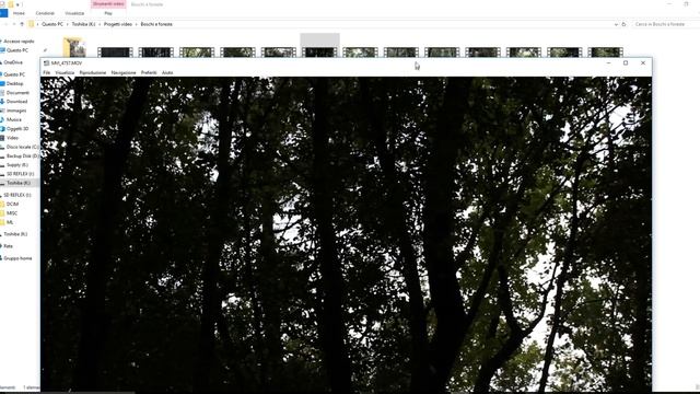 Come aprire più finestre contemporaneamente su Media Player Classic смотреть онлайн