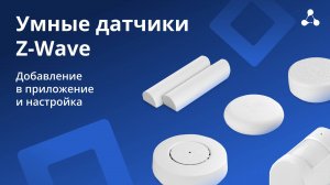 Умные датчики Z-Wave. Добавление в приложение и настройка