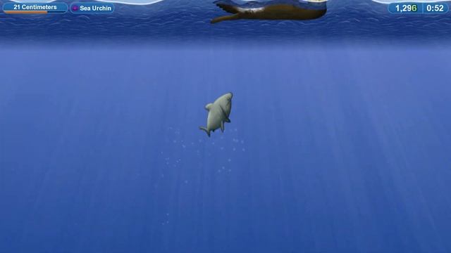 Tasty Planet Forever - PACIFIC BASKING SHARK | Music Off смотреть онлайн