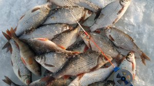 Зимняя рыбалка. Ловля на безмотылку на реке.