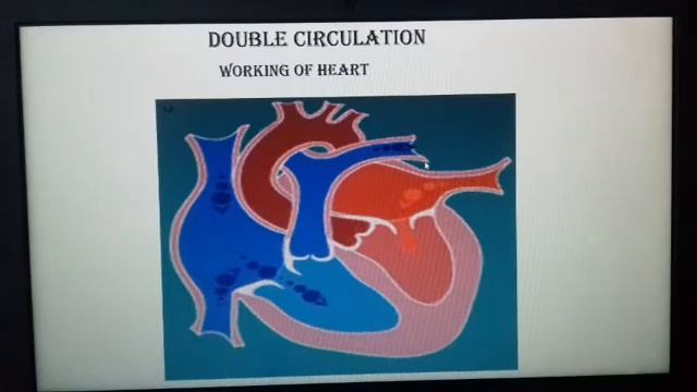 Biology -Transportation in Animal For X.XI. NTSE and NEET. смотреть онлайн