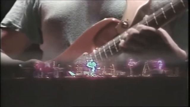 MIKE OLFIELD & MAGGIE REILLY - Moonlight Shadow (Live 1984)