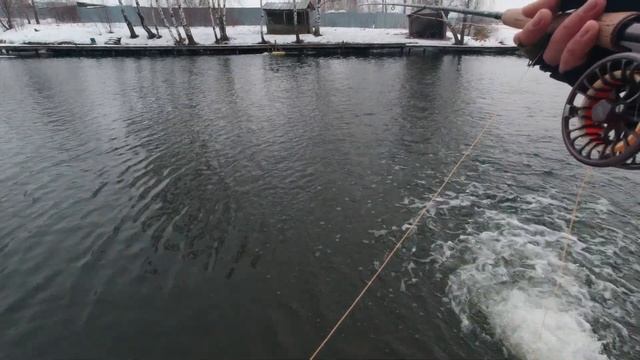Евронимфинг ( Euro Nymphing ) на прудовую форель. Варианты оснастки. Ловля в мороз. 1 часть. смотреть онлайн