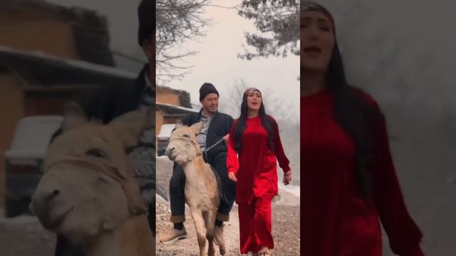 Malika Shavkatovna - Pombarxt Ko'ylagim #rayhon #xamdam_sobirov #qizilkoylagim #malika #shavkatovna смотреть онлайн