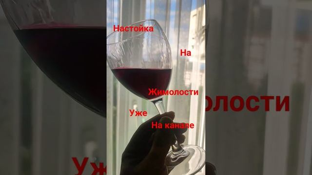 настойка на ягодах жимолости #жимолость