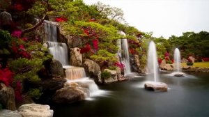 Рассказы старого врача