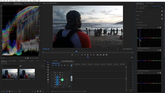 Cinematic Color Grading in premiere pro | Cinematic video with a mobile phone | Malayalam смотреть онлайн