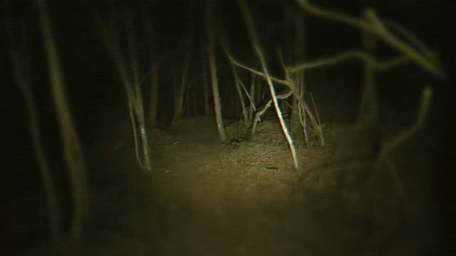 if you hear chimes at night, don't look out your window... смотреть онлайн