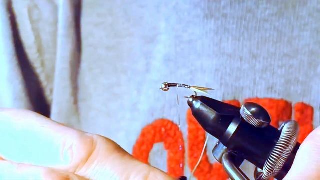 Нимфа веснянки с ярким телом смотреть онлайн