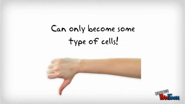 Stem Cells смотреть онлайн
