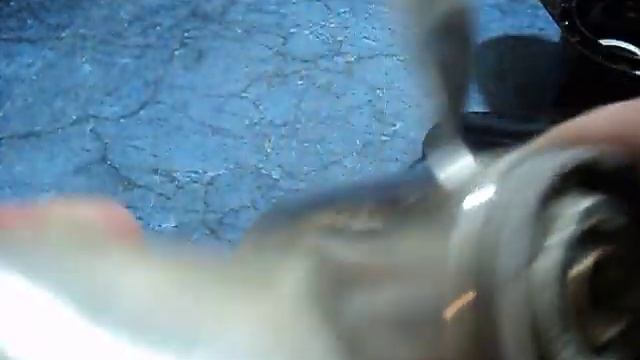 MOV07560