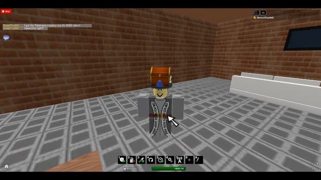 I got the Telamons mystery box for 9000 robux! смотреть онлайн