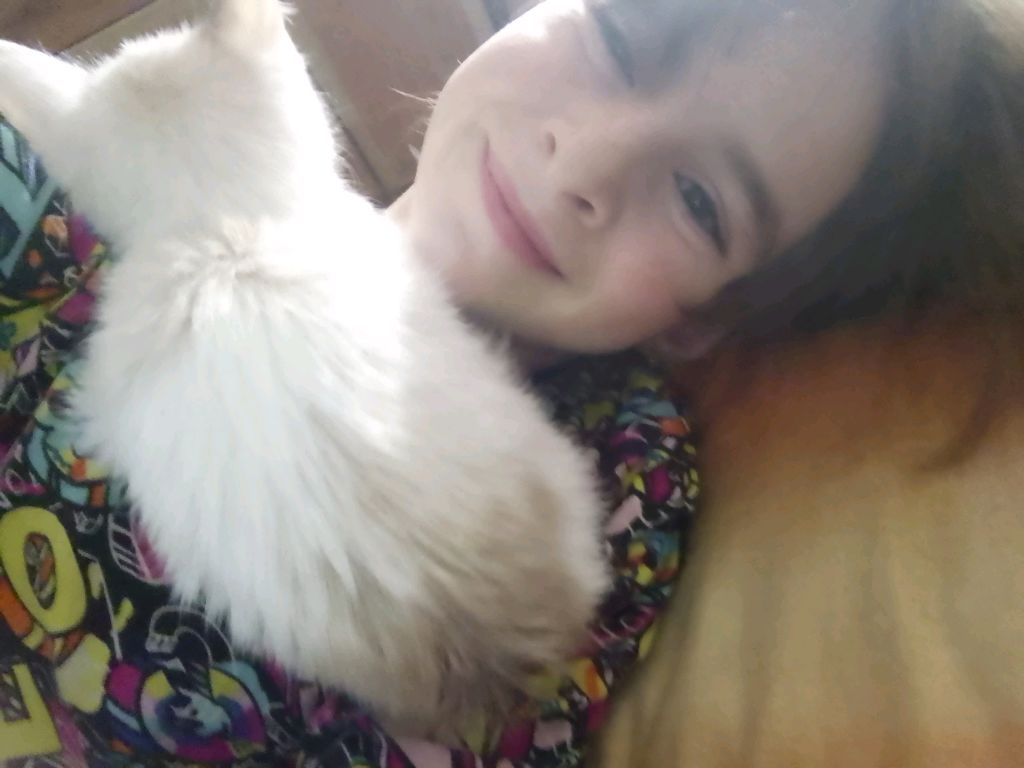 ...... смотреть онлайн