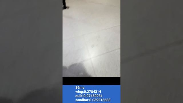 Tensorflow Lite Android Demo - airport смотреть онлайн