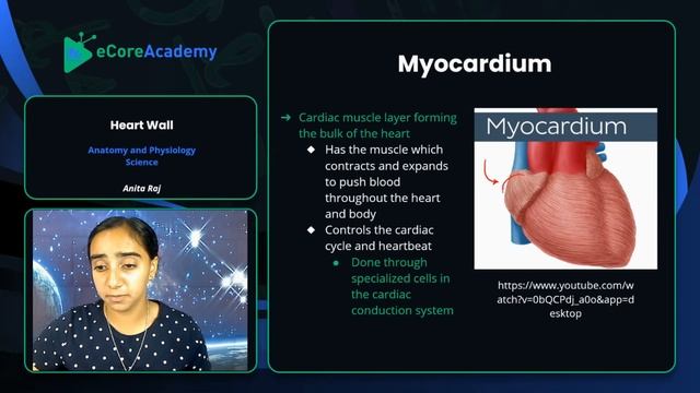 The Layers of the Heart Wall | eCoreAcademy | Anita Raj смотреть онлайн