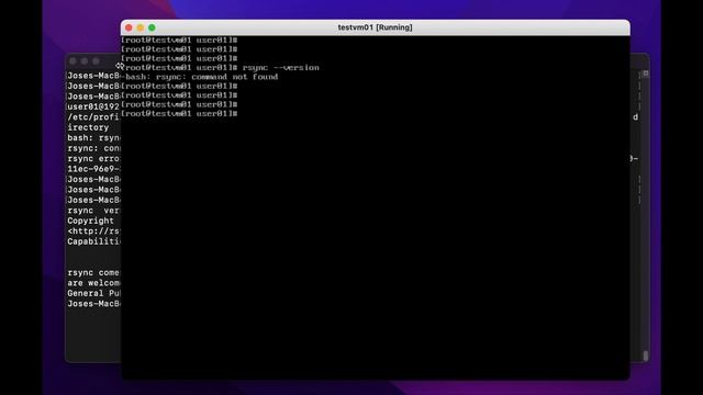 macOS Troubleshooting - rsync error смотреть онлайн