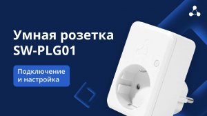 Умная розетка SW-PLG01: подключение и первичная настройка