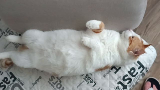 Кузя смотреть онлайн