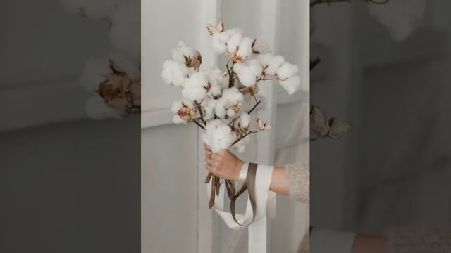 Kumpulan Wallpaper Bunga Keren Untuk Ponsel Part 4 смотреть онлайн