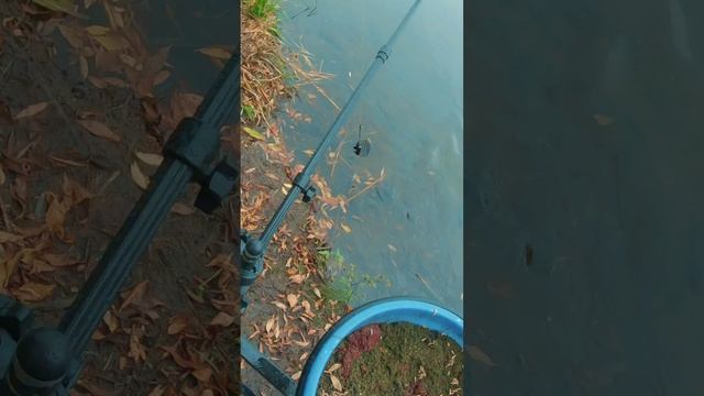 Осенняя шемая смотреть онлайн