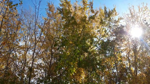 Подойти мне к речке захотелось. слова А. Платонов. музыка и вокал нейросеть