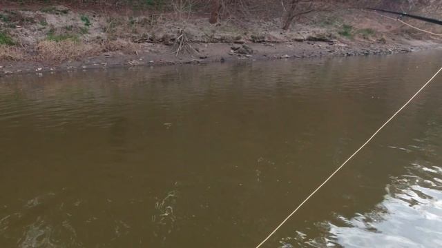 Евронимфинг ранней весной 3. Euro Nymphing. смотреть онлайн