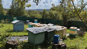 Роеловство на 80%. Снимаю рои в конце августа.