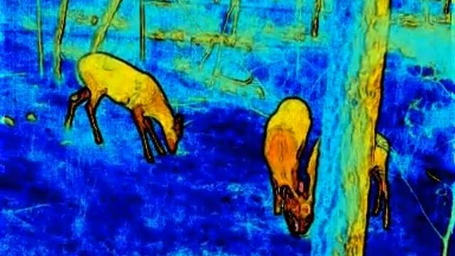 thermapp plus смотреть онлайн