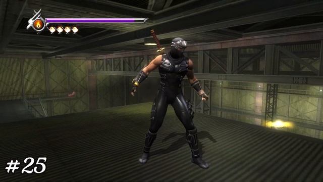 All 50 Ninja Gaiden Sigma Golden Scarab Locations смотреть онлайн