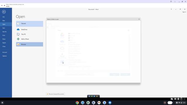 Providing a Seamless App Experience on Chromebooks with Cameyo's Native File System Integration смотреть онлайн