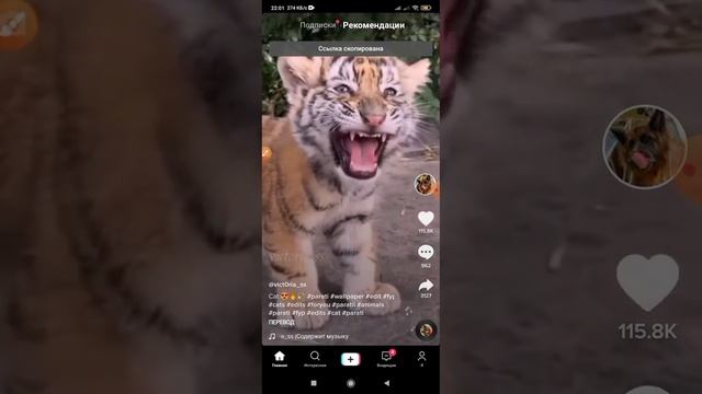 Тик токтон видео кочуруу смотреть онлайн