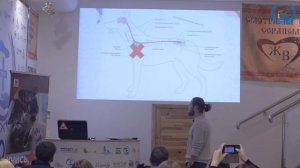 Албул А.В. в УЦ «Зоовет» | ч.1