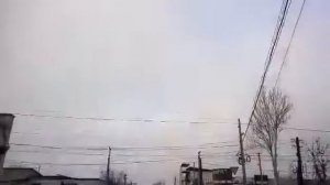 Бойные голуби Миро -KG 312!!!