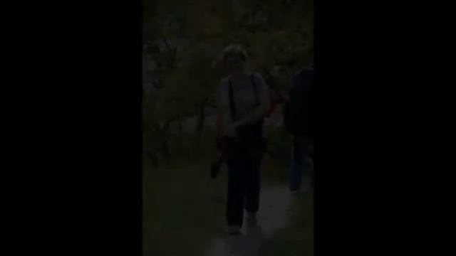 Презентация СУШКА смотреть онлайн