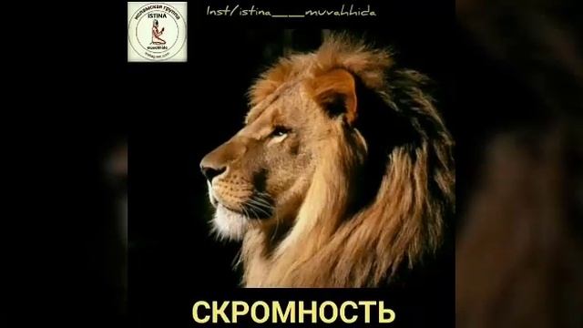 7 гунохи бадтарин, Хоксори , Мухаммад Али смотреть онлайн