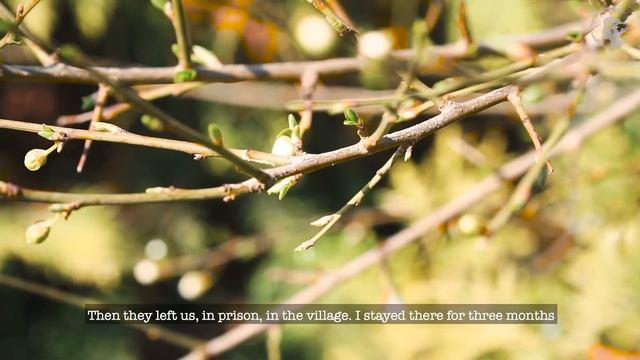 Tale 21| Little Life Tales смотреть онлайн