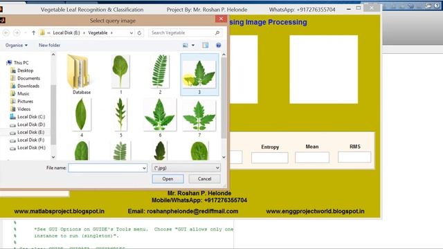 Matlab Code for Vegetable leaf Recognition using image processing смотреть онлайн