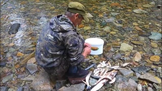 Таёжная смотреть онлайн