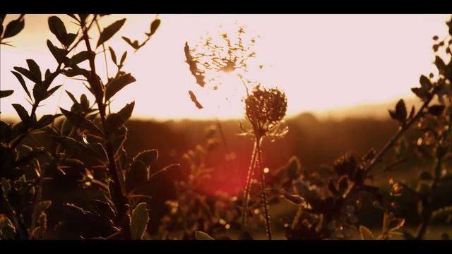 New Zealand in 4K (Ultra HD) смотреть онлайн
