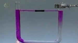 Физика. Конвекция в жидкости: - в круглодонной колбе; - в U-образной трубке