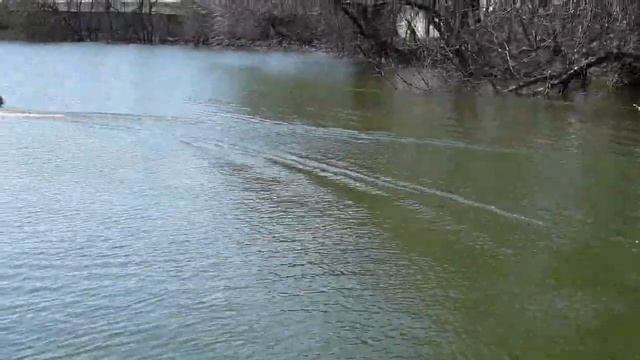 калкан прикормочный кораблик