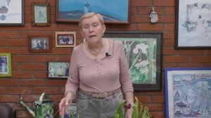 Насекомоядные растения (мухоловка) Дионея и Саррацения.