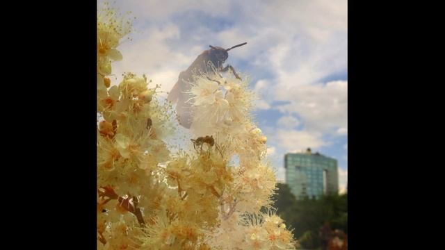 2020 Мгновения Лучшее смотреть онлайн