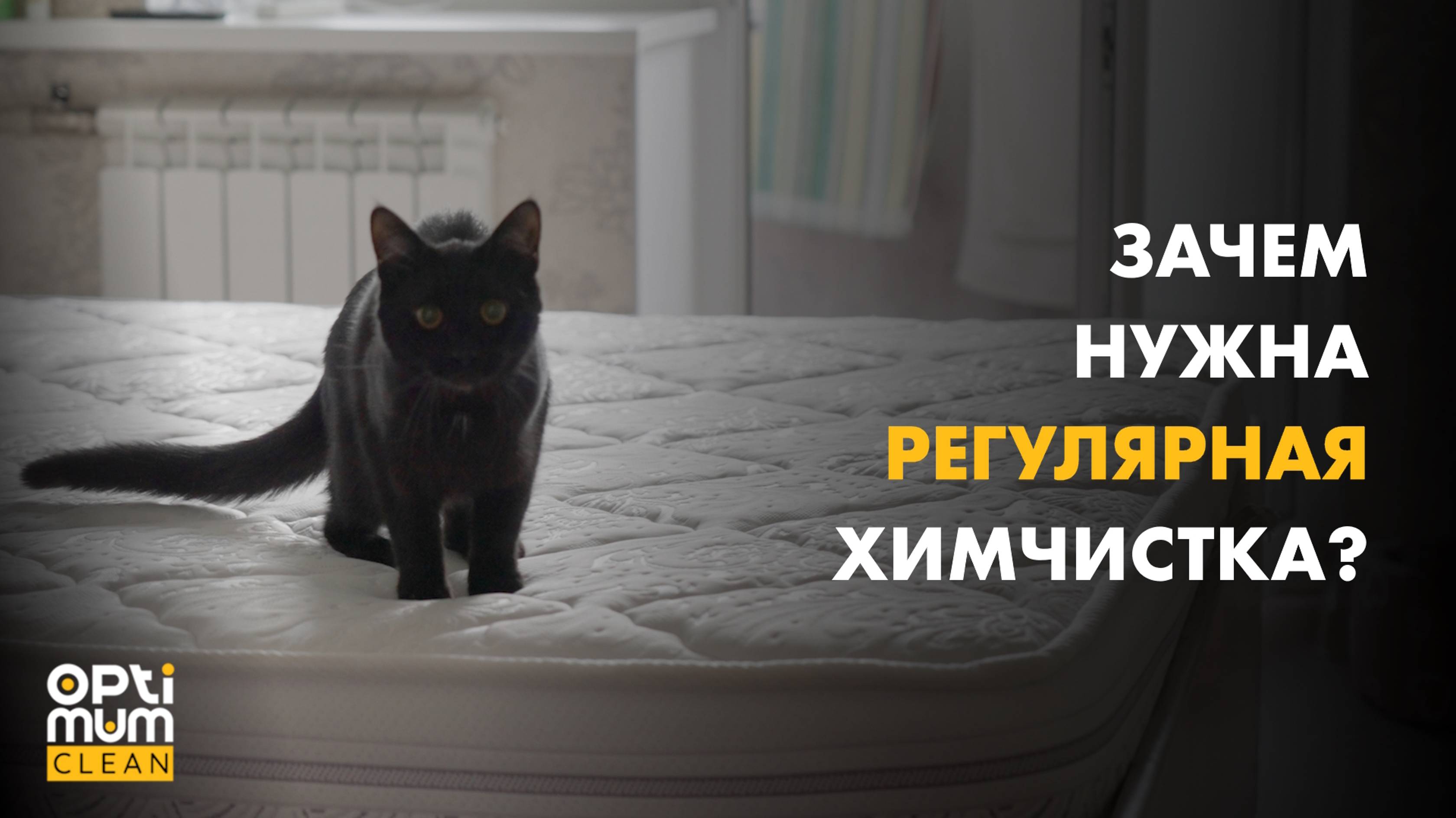 Ежегодная чиска мебели в квартире