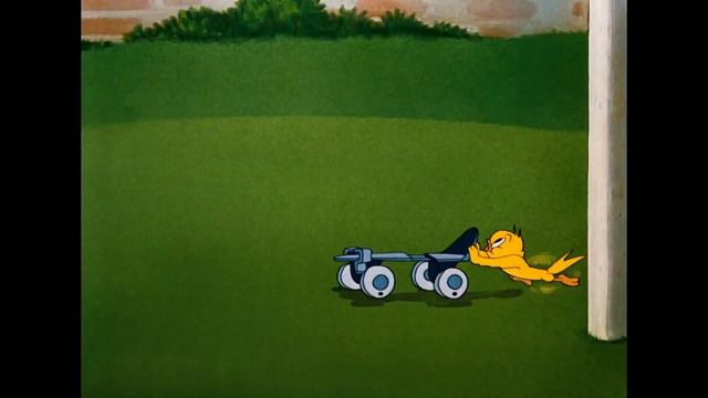 Tom & Jerry | The Best Cat Tom! | Classic Cartoon Compilation | WB Kids смотреть онлайн