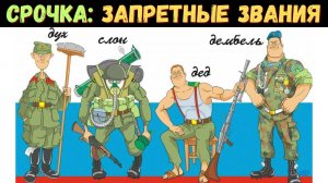Армейские секреты раскрыты: кто такие «духи», «черпаки» и «слоны»?