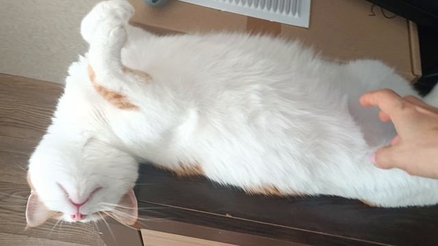 Кузя смотреть онлайн