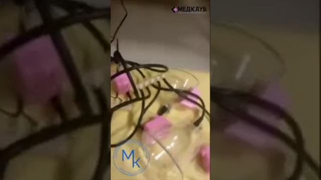 Паук с горячим вакуумом смотреть онлайн