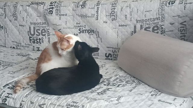 Кузя и девочка смотреть онлайн